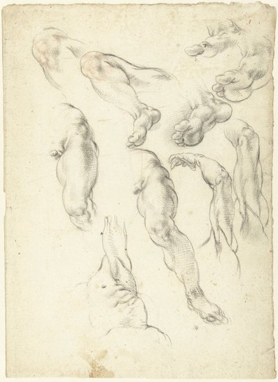 Foglio di studio con braccia e gambe da Giovanni Alberti