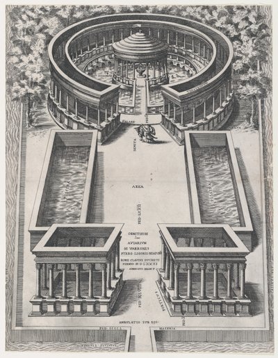 Speculum Romanae Magnificentiae: Ornithon Sive Aviarum da Giovanni Ambrogio Brambilla