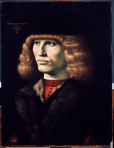 Ritratto di giovane uomo, circa 1495 da Giovanni Ambrogio de Predis