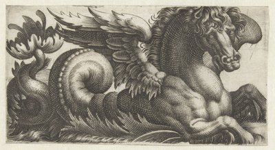Cavalluccio marino alato con una foglia aperta alla fine della coda da cui spuntano due stami da Giovanni Andrea Maglioli