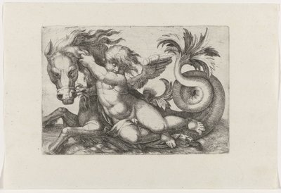 Putto che cavalca un cavalluccio marino da Giovanni Andrea Maglioli