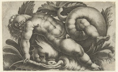 Putto dormiente su delfino (Putti op zeewezens) da Giovanni Andrea Maglioli