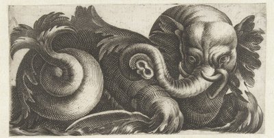 Elefante marino con orecchie di foglie da Giovanni Andrea Maglioli