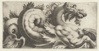 Cavalluccio marino con pinne a forma di foglia e barba da Giovanni Andrea Maglioli
