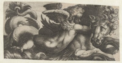 Cavalluccio marino con un putto al collo da Giovanni Andrea Maglioli