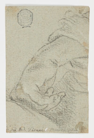 Studio: Una mano sinistra in posizione inclinata da Giovanni Andrea Sirani