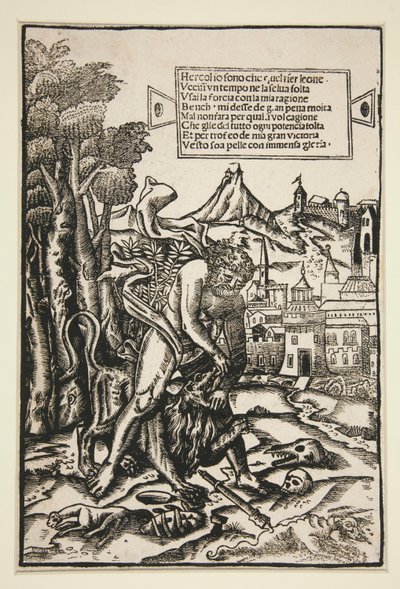 Ercole e il leone di Nemea da Giovanni Andrea Vavassore