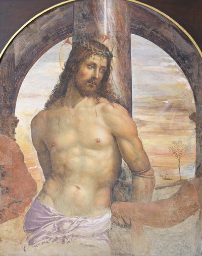 Cristo alla colonna da Giovanni Antonio Bazzi Sodoma