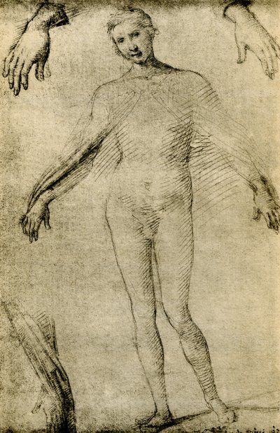 Studio di modello per una Vergine Maria come mater misericordiae da Giovanni Antonio Bazzi Sodoma