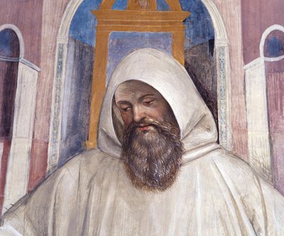 San Benedetto dà la regola ai monaci olivetani (dettaglio) da Giovanni Antonio Bazzi Sodoma