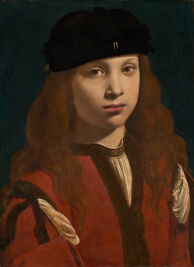 Ritratto di un giovane da Giovanni Antonio Boltraffio