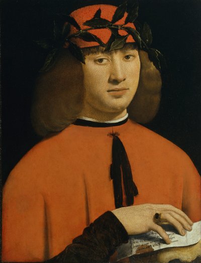 Ritratto di un giovane uomo da Giovanni Antonio Boltraffio