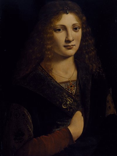 Ritratto di un giovane uomo, possibilmente Girolamo Casio, c.1500 da Giovanni Antonio Boltraffio