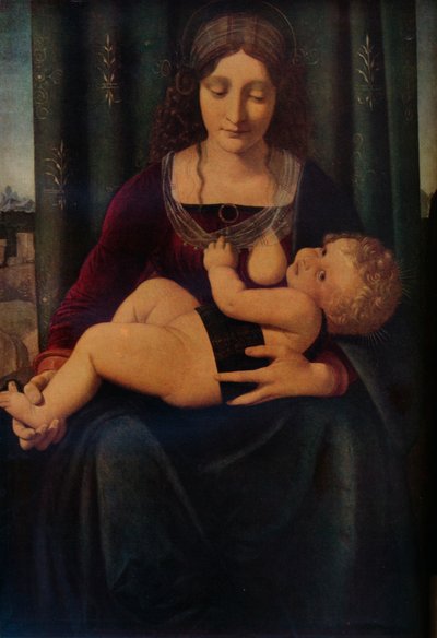 La Vergine e il Bambino, c1493-9 da Giovanni Antonio Boltraffio