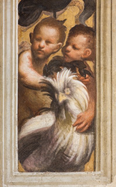 Parte superiore di Lesena sopra il capitello primo e secondo arco sud, IL Pordenone, Puttini (dettaglio) da Giovanni Antonio Pordenone