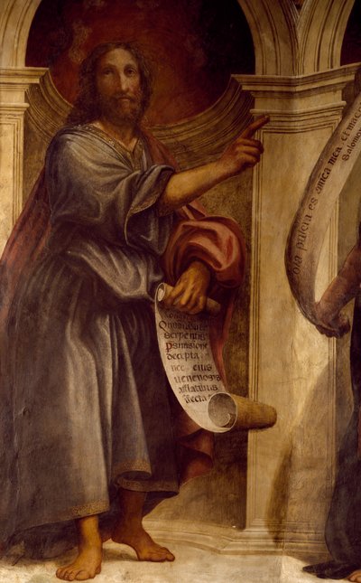 Isaia (dettaglio) da Giovanni Antonio Pordenone