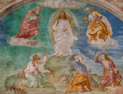 La Trasfigurazione di Cristo, c.1529 da Giovanni Antonio Pordenone