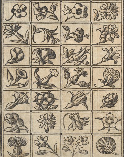 Essempio di recammi, pagina 10 verso da Giovanni Antonio Tagliente