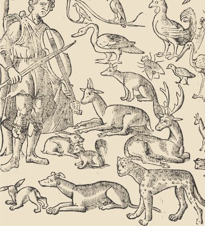 Essempio di recammi, pagina 12 verso da Giovanni Antonio Tagliente