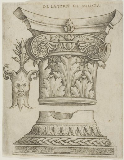Dettagli architettonici: Base, Capitello e Maschera da Giovanni Antonio da Brescia