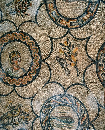(dettaglio) Pavimento della Basilica paleocristiana di Aquileia, Udine da Phillipe de Marlier