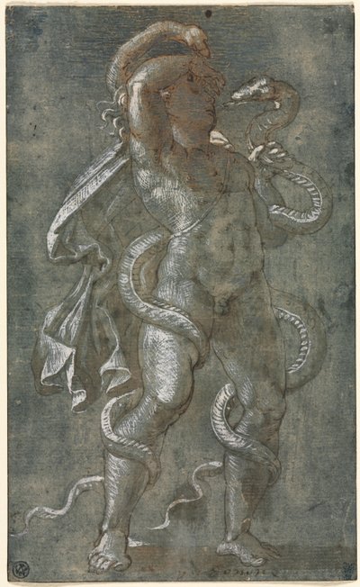 Uomo avvolto da due serpenti da Giovanni Antonio da Pordenone