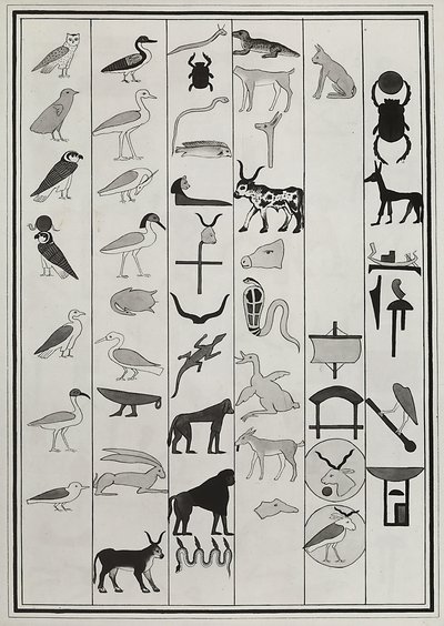 Disegni delle decorazioni all