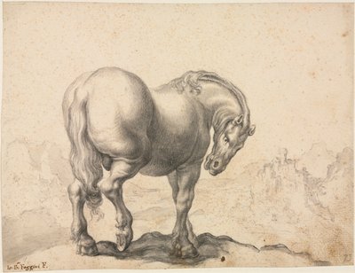 Studio di uno stallone da Giovanni Battista Foggini