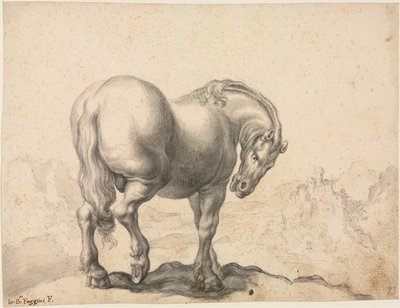 Studio di uno stallone, primo terzo del XVIII secolo da Giovanni Battista Foggini