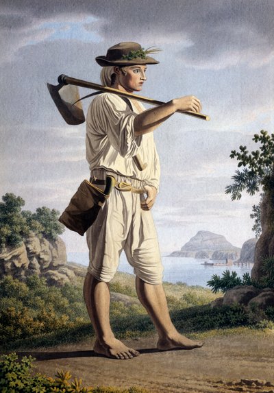 Contadino sullo sfondo dei Campi Flegrei da Giovanni Battista Lusieri