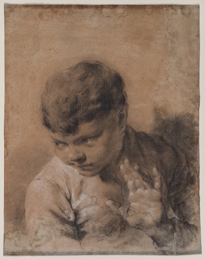 Ritratto del figlio dell