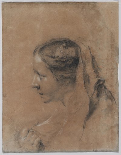 Testa di donna di profilo con sciarpa da Giovanni Battista Piazzetta