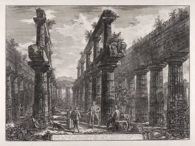 A., B. Veduta dei resti delle due file di colonne che si trovavano nel Tempio di Nettuno, che lateralmente formavano i portici nella cella e sostenevano la copertura dell