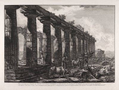 Vista laterale del Tempio di Giunone da Giovanni Battista Piranesi