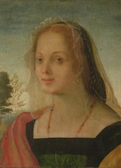 Ritratto di una giovane ragazza da Giovanni Battista Rosso Fiorentino