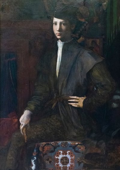 Ritratto di un giovane uomo da Giovanni Battista Rosso Fiorentino
