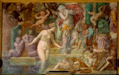 Scuola di Fontainebleau: Venere alla fontana da Giovanni Battista Rosso Fiorentino