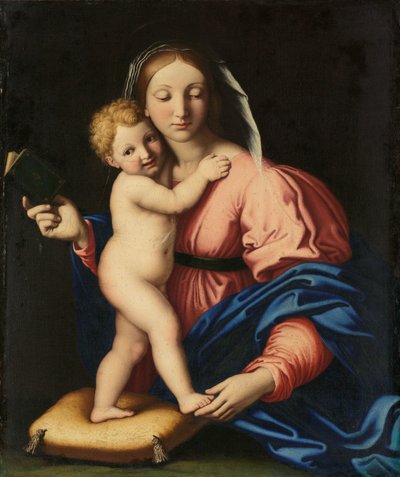 Vergine e Bambino da Giovanni Battista Salvi (workshop of)