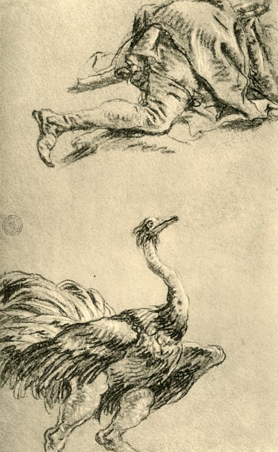 Uno struzzo in corsa, 1752-1753, 1928 da Giovanni Battista Tiepolo