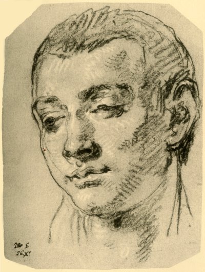 Testa di un ragazzo, metà XVIII secolo, 1928 da Giovanni Battista Tiepolo