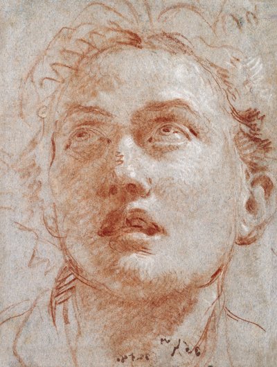 Testa di un uomo che guarda in alto da Giovanni Battista Tiepolo