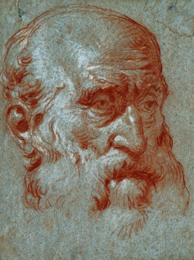 Testa di un patrizio veneziano, tre quarti di volto da Giovanni Battista Tiepolo
