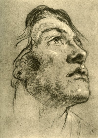 Testa di un giovane uomo, quasi di profilo e guardando in alto da Giovanni Battista Tiepolo