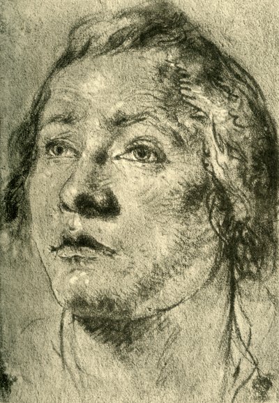 Testa di un giovane uomo da Giovanni Battista Tiepolo