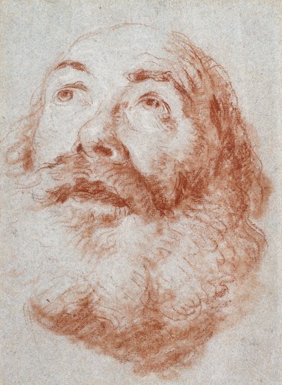 Testa di un vecchio che guarda in alto da Giovanni Battista Tiepolo