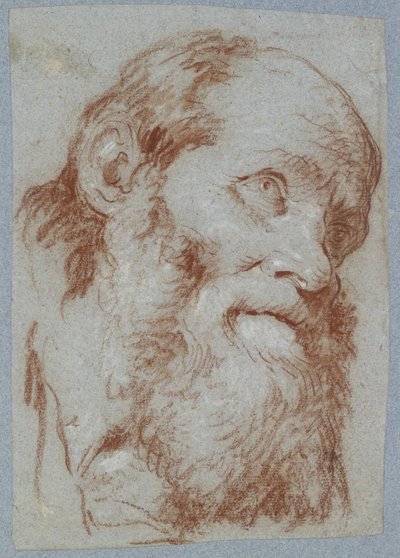 Testa di un vecchio barbuto da Giovanni Battista Tiepolo
