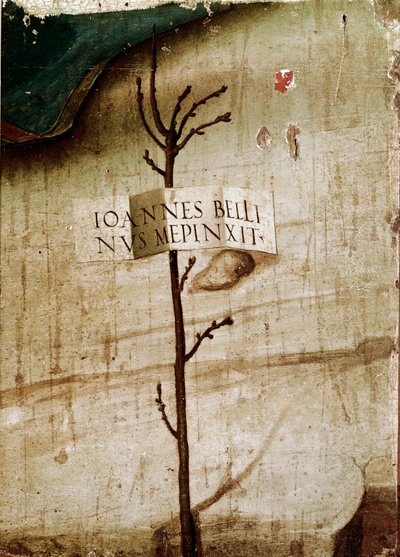 Alberello e cartuccia (dettaglio) da Giovanni Bellini