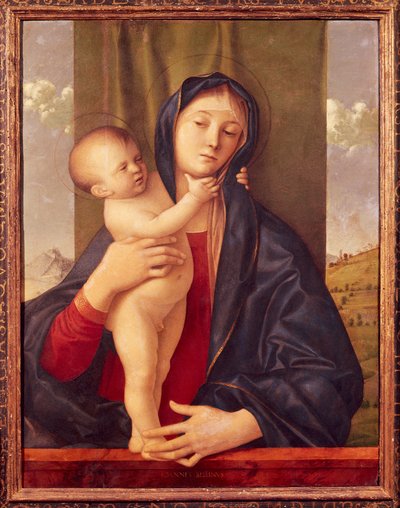 Madonna col Bambino (Madonna Willys) da Giovanni Bellini