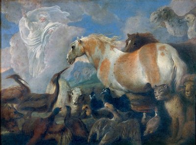 La creazione da Giovanni Benedetto Castiglione
