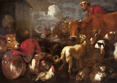 Gli animali salgono sull